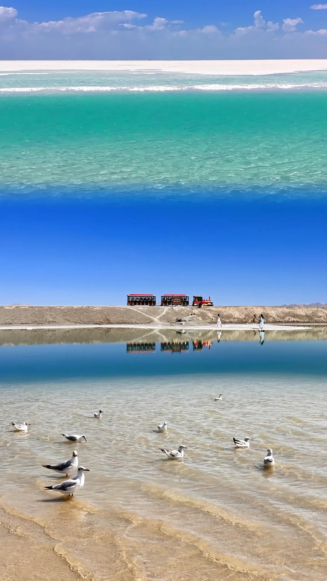 去年六月去西北报了个纯玩图，体验真没想到