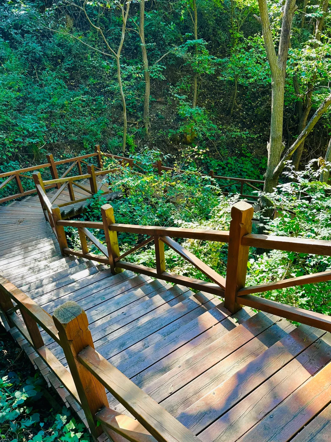 昌平云端步道将开放！清明好去处！附攻略