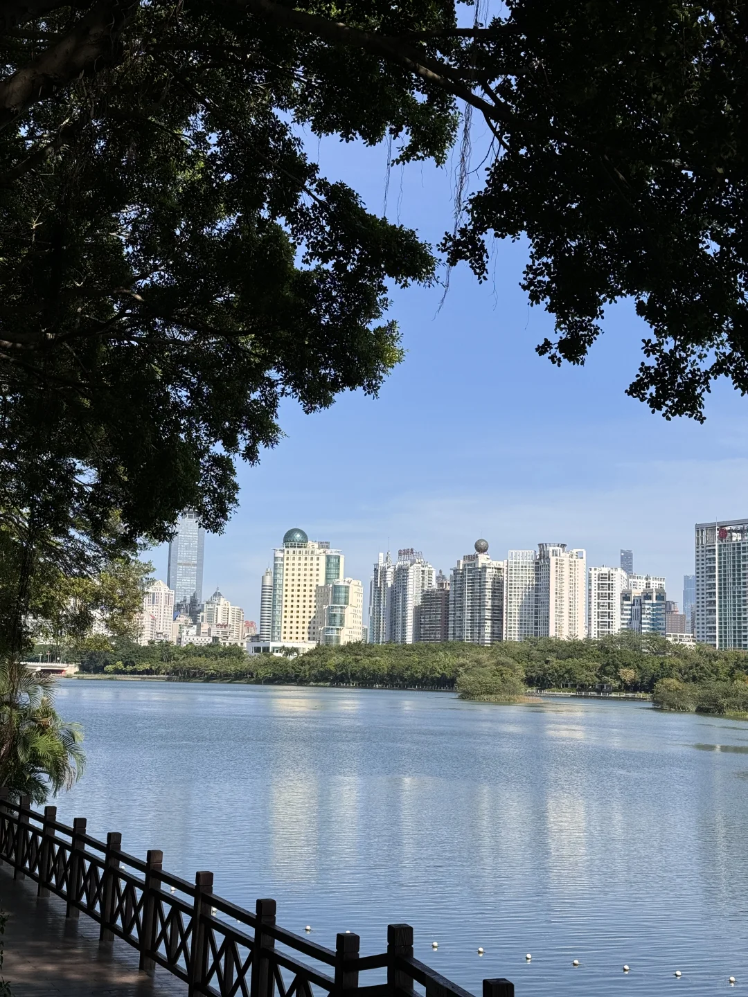 南宁最美的地方都是免费的（live合集）