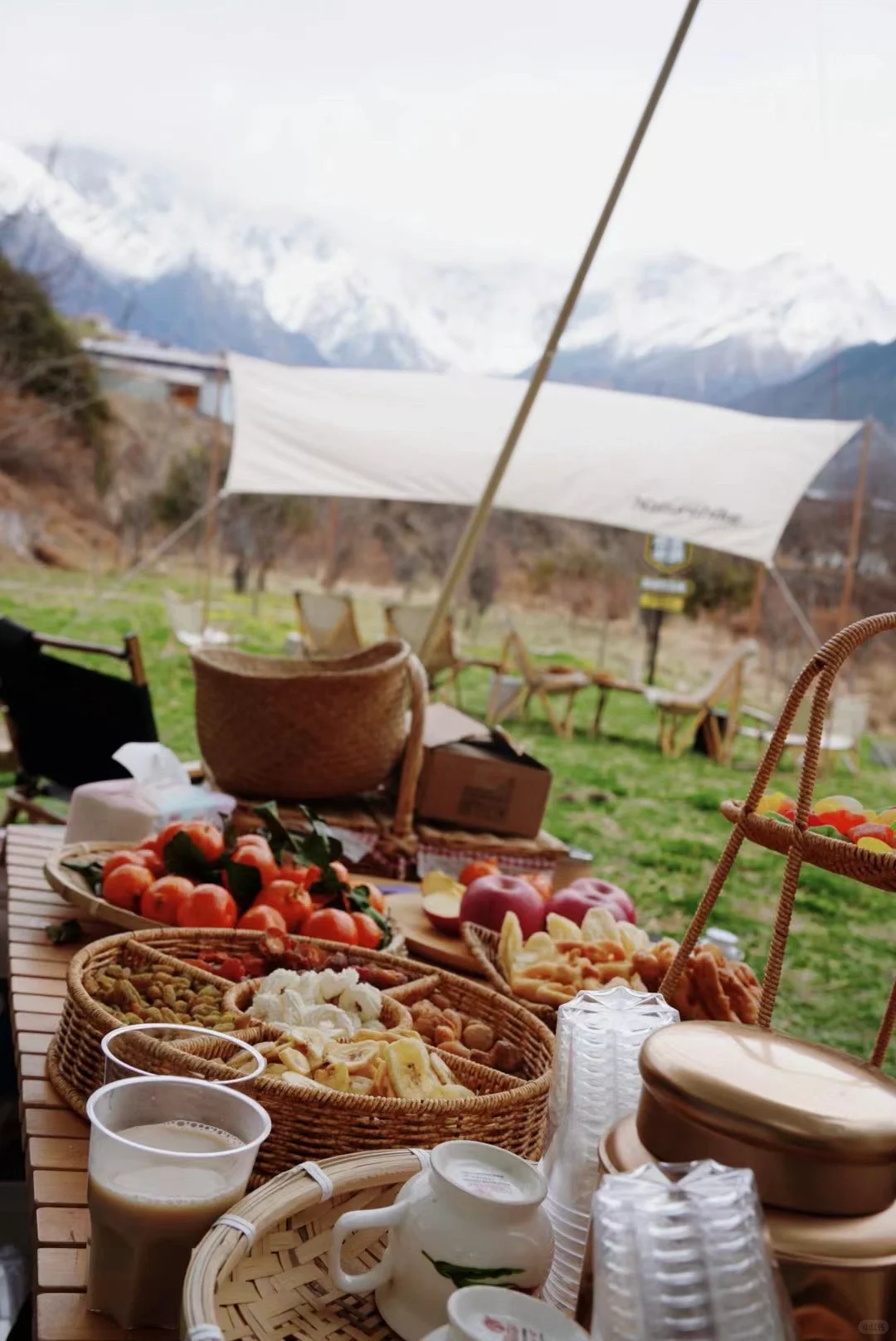 林芝索松村｜赴一场雪山下的桃花盛宴