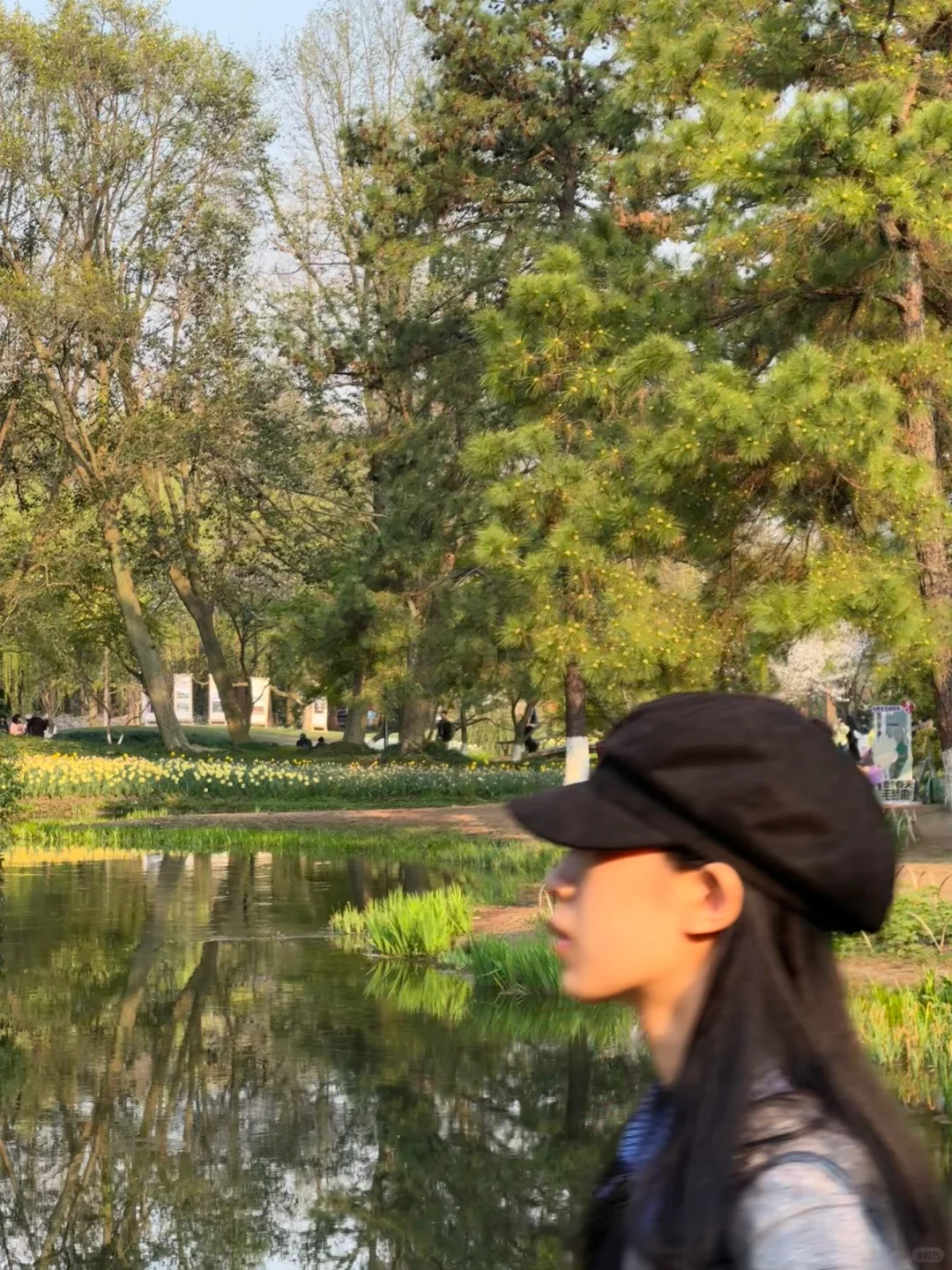 🌷 2025太子湾郁金香超全攻略｜赶早承包花海