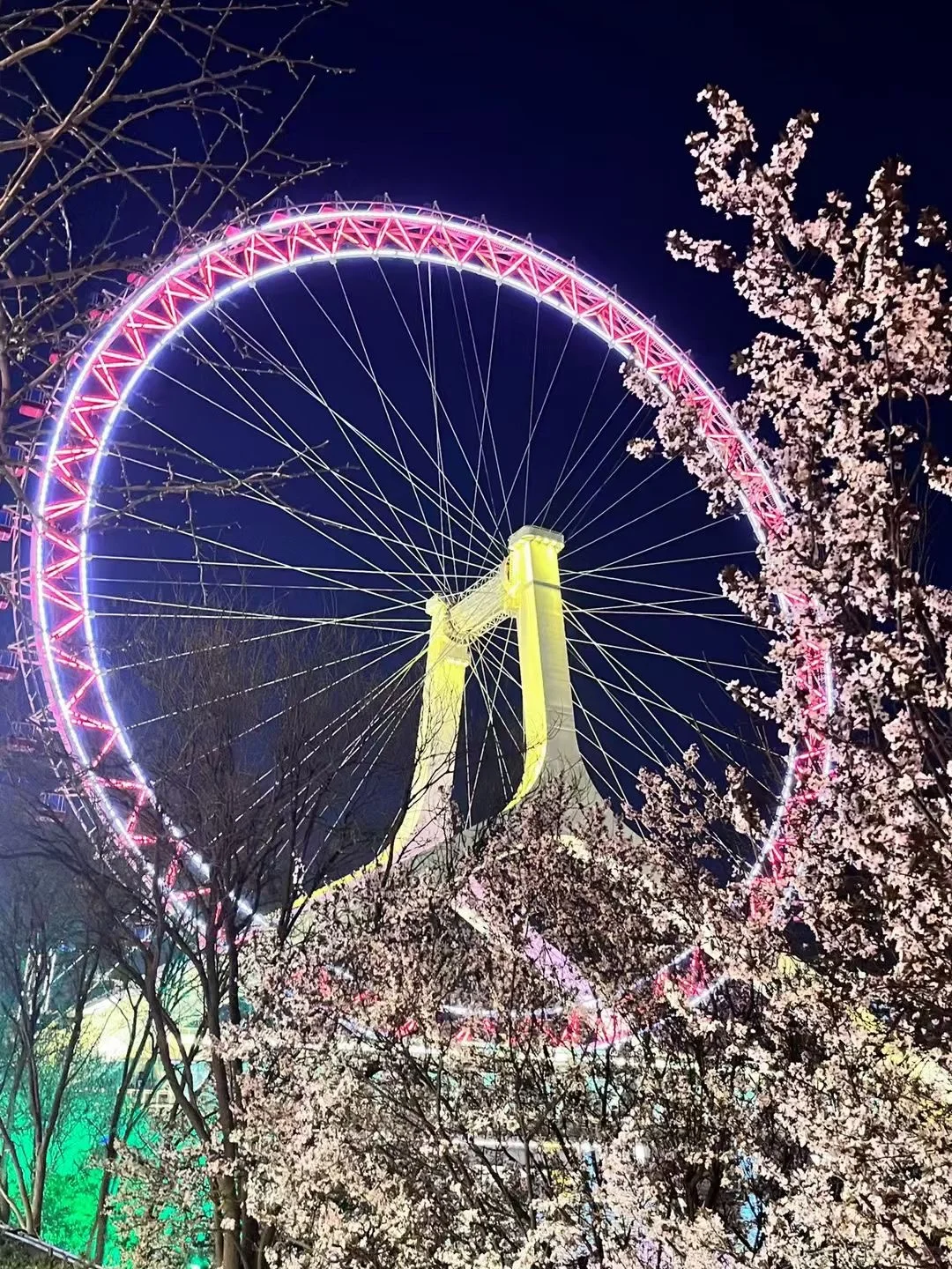 4月的天津美到没朋友！