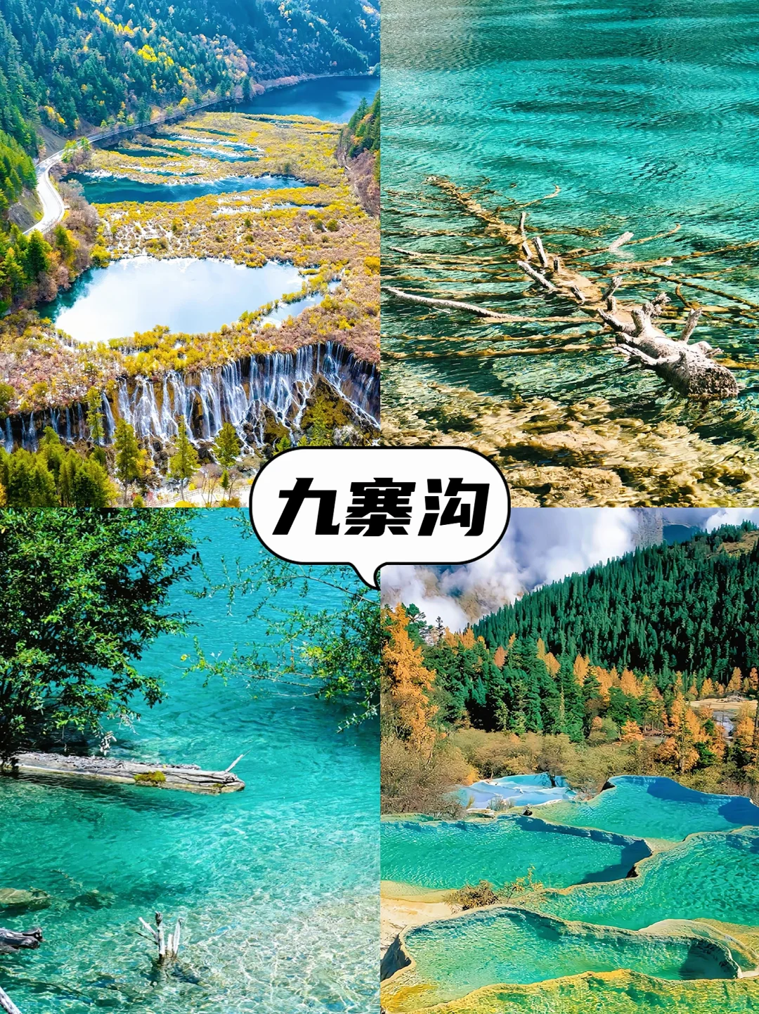 出门旅游做个攻略都这么累😭还不如定制游！