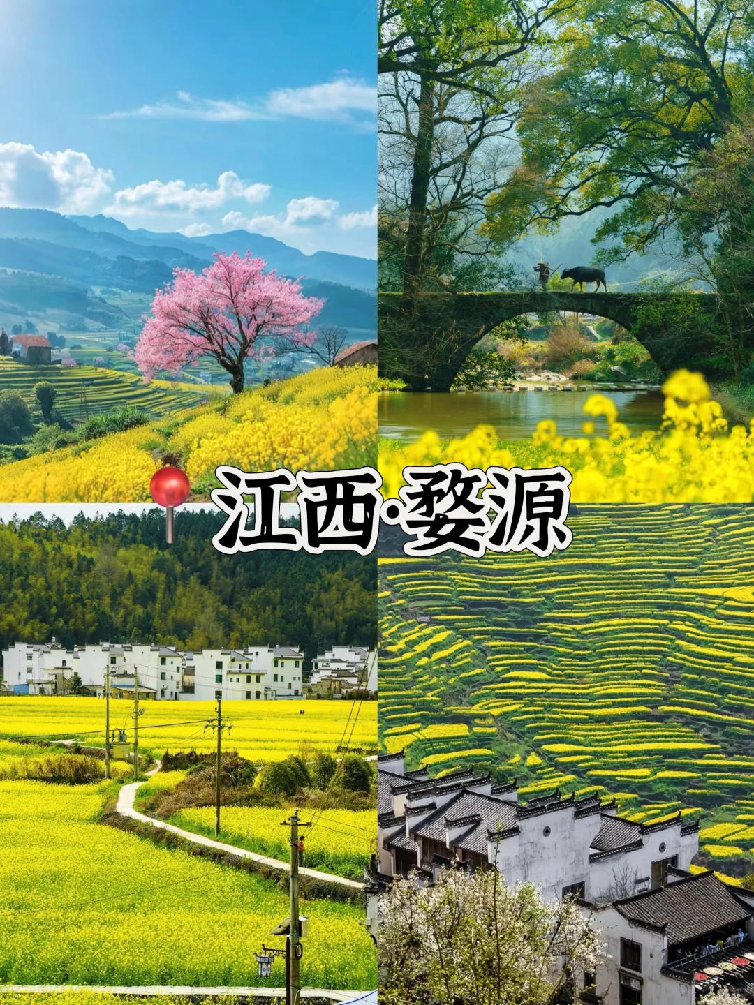 接下来的3-4月是这样的🌸(赏花好去处攻略)