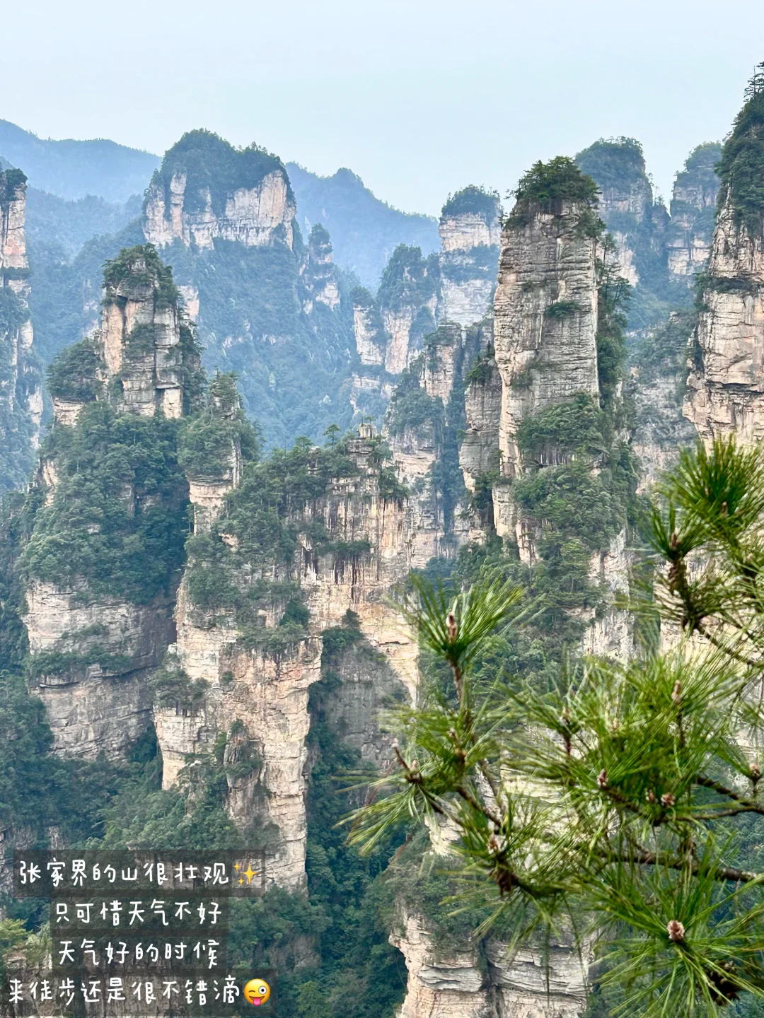 02年女大|春游计划之出游攻略