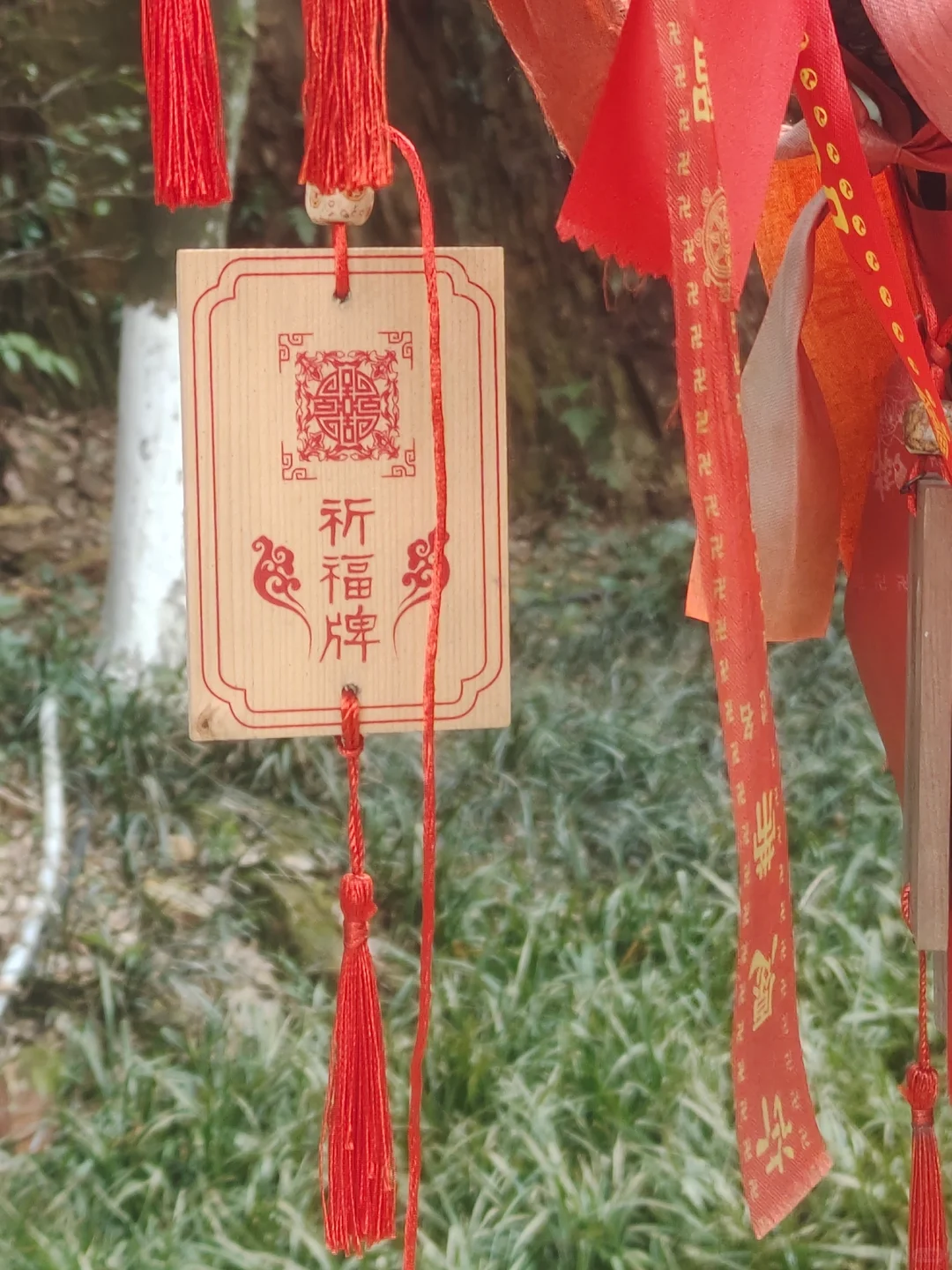 📍桃花源出行攻略