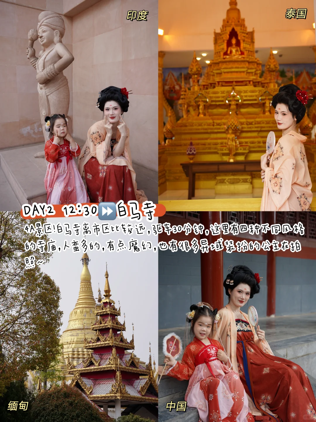 清明带娃去洛阳！3日游攻略直接抄作业