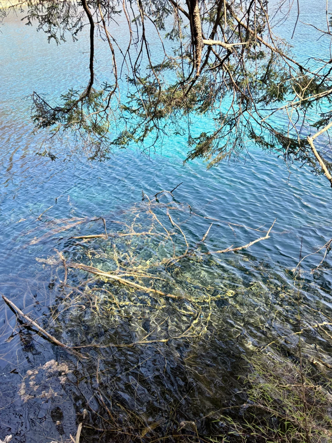 3.8📍我宣布‼这才是九寨沟最美的时刻‼