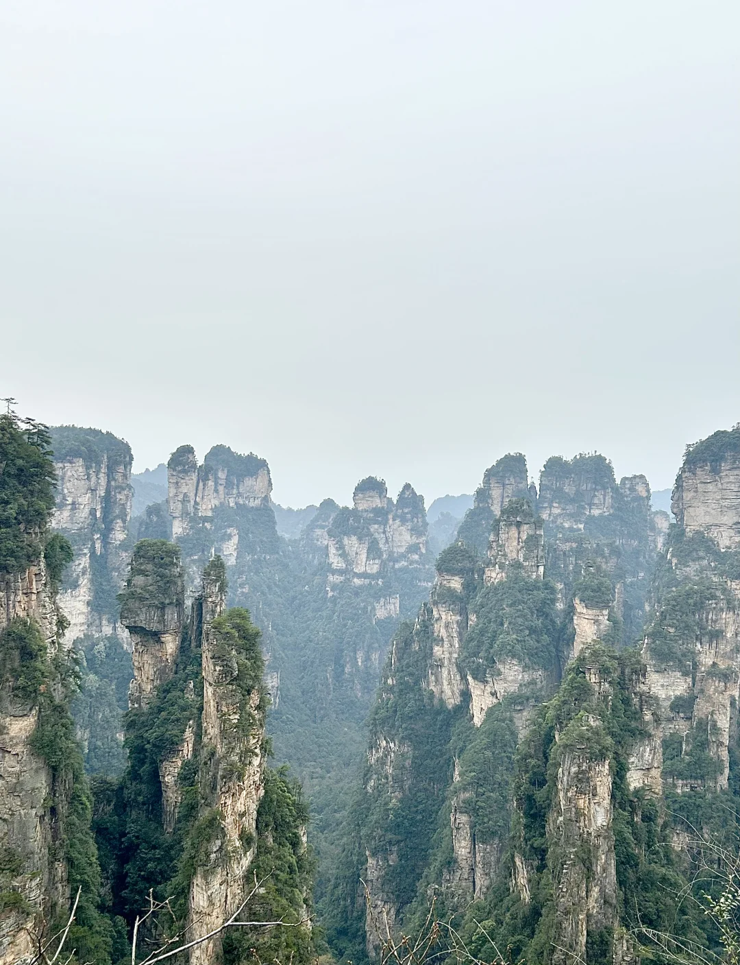 02年女大|春游计划之出游攻略