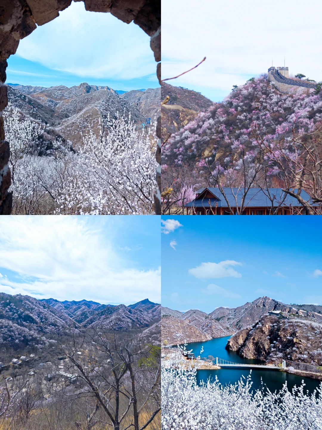 3.24实拍丨在北京我找到了林芝的平替