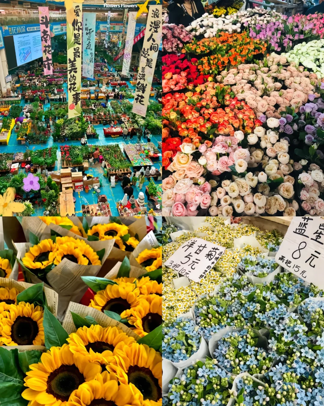 🎉本人亲游云南昆明宝藏旅游景点🌸🌸