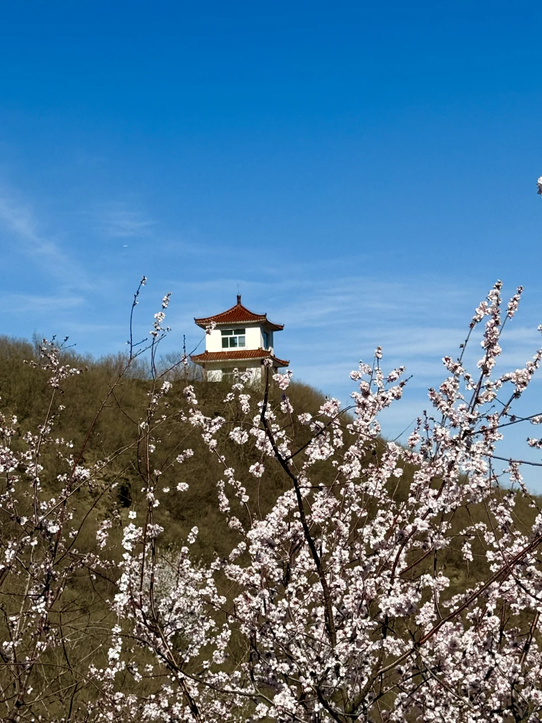 别再挤白虎涧‼️房山小众无人山谷太美🌸