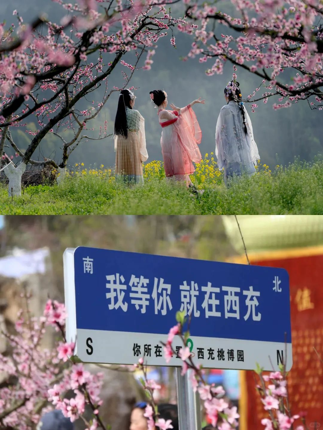 3月顶流预警❗️这粉色烟霞承包四川人的浪漫