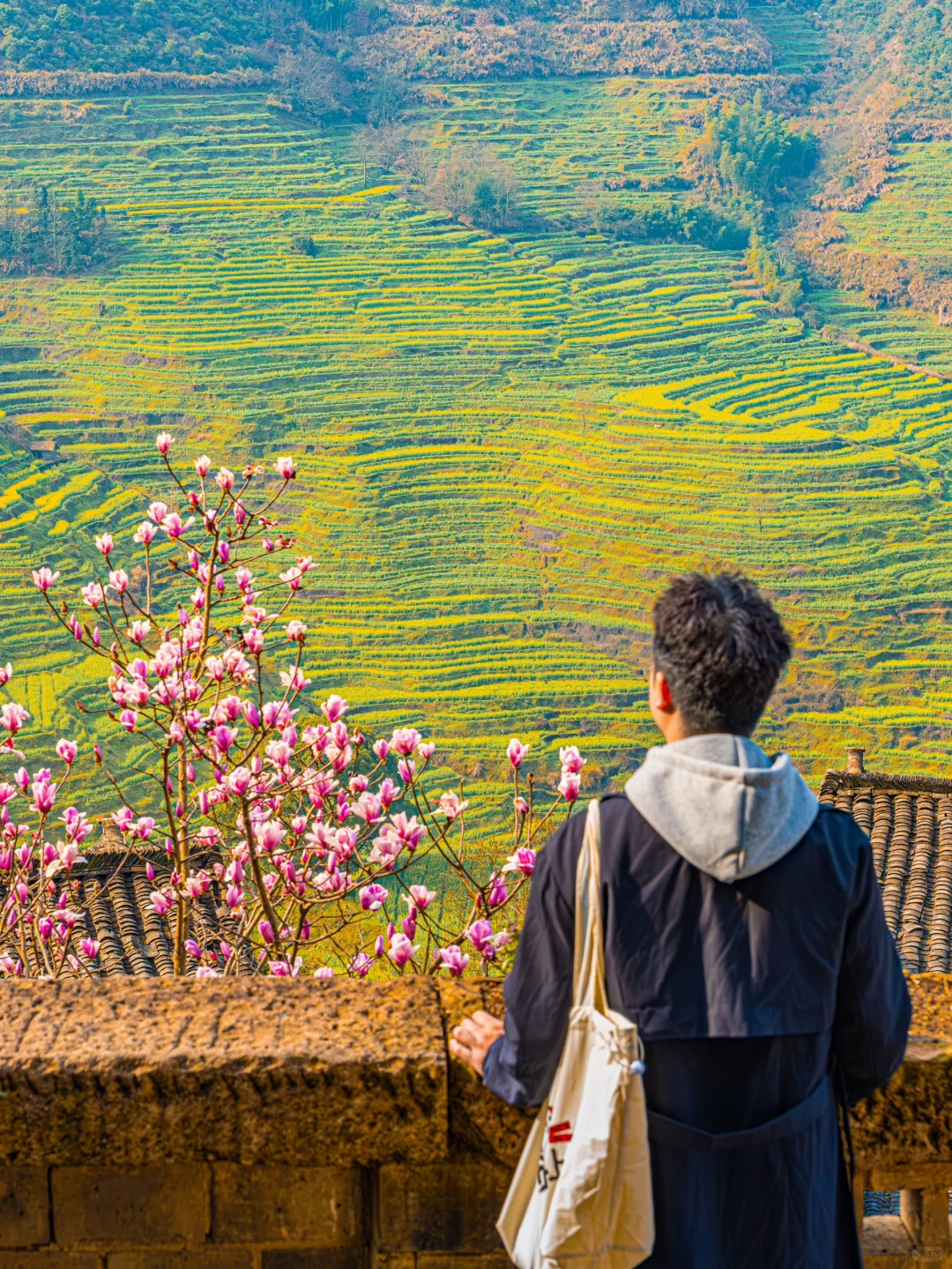 和城市绝交的2天！一起走进最美古村的春天