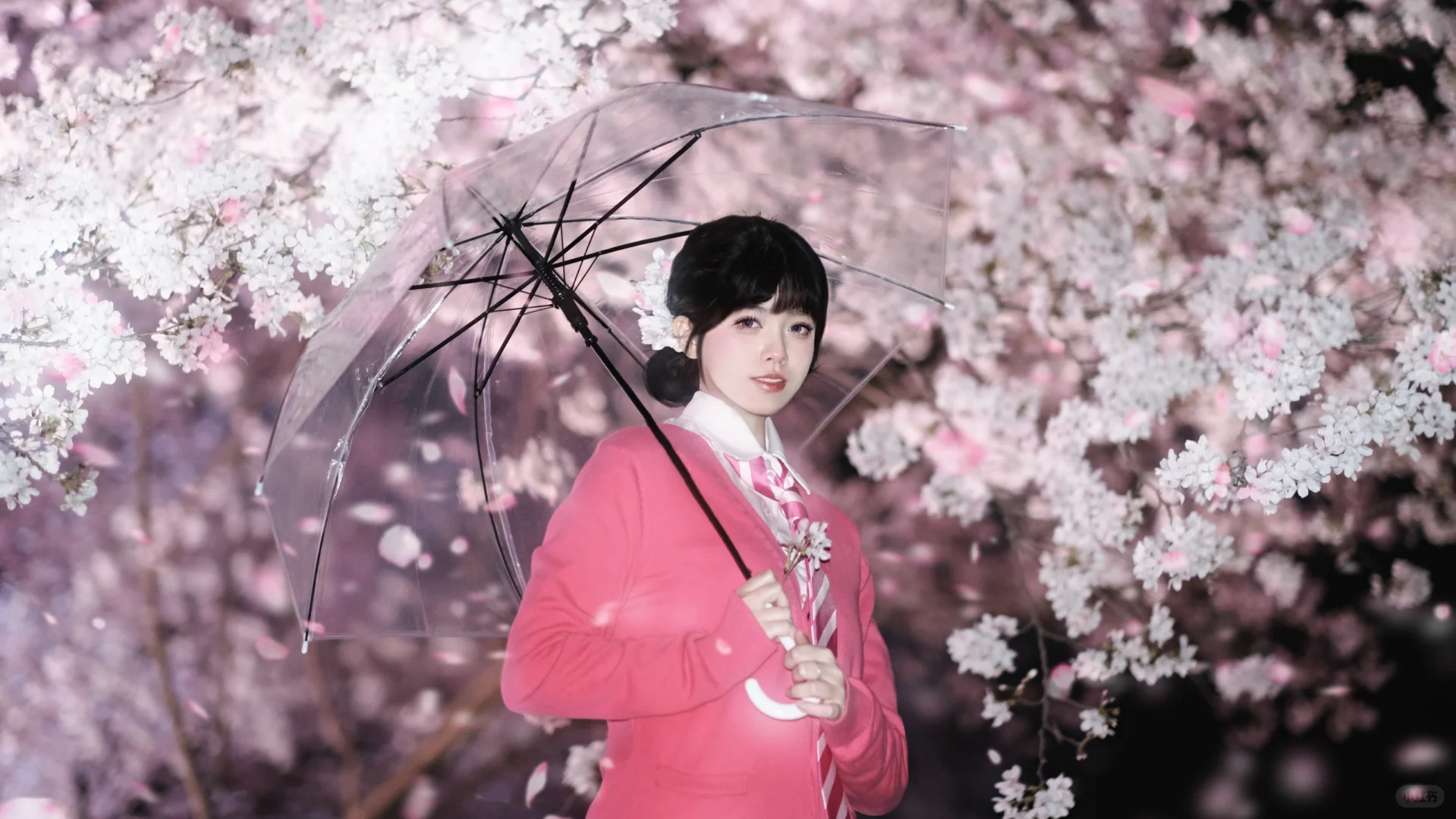 避雷鼋头渚这个摄影师，在景区随便找的