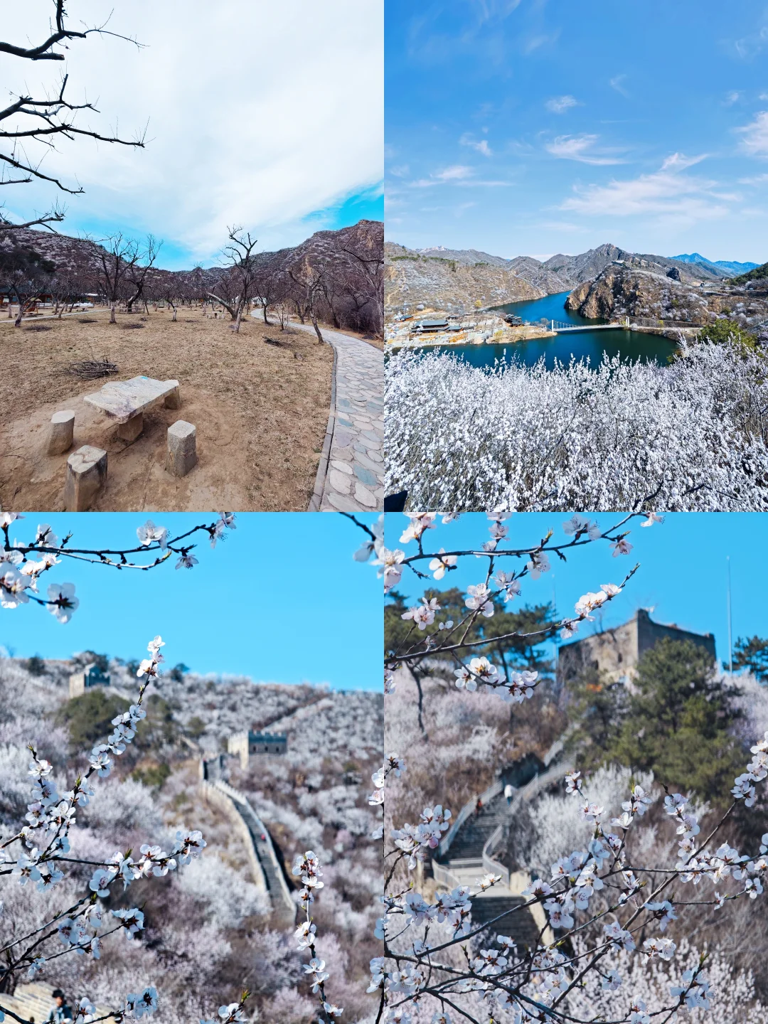 3.24实拍丨在北京我找到了林芝的平替