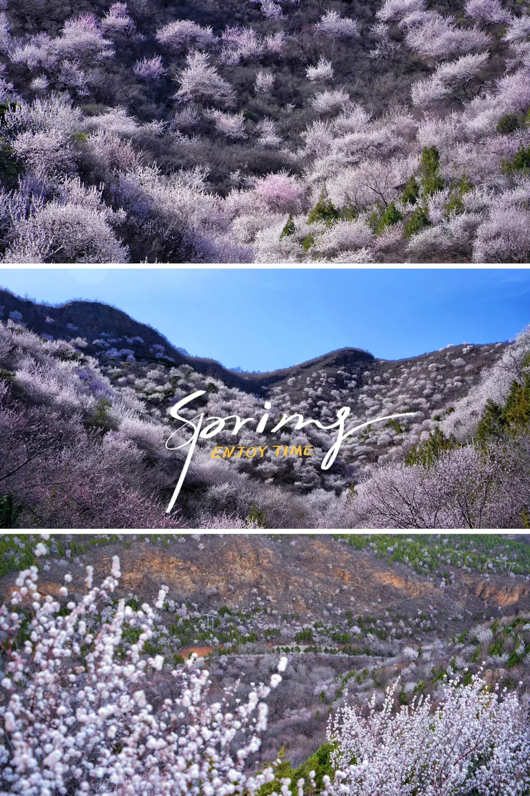 别再挤白虎涧‼️房山小众无人山谷太美🌸