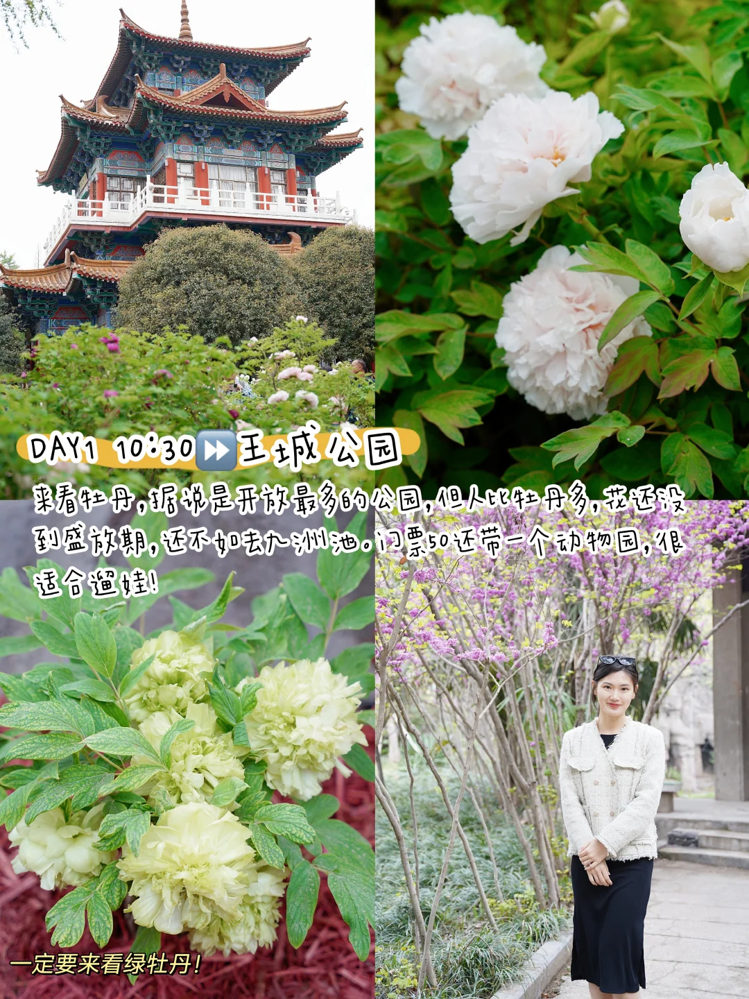 清明带娃去洛阳！3日游攻略直接抄作业