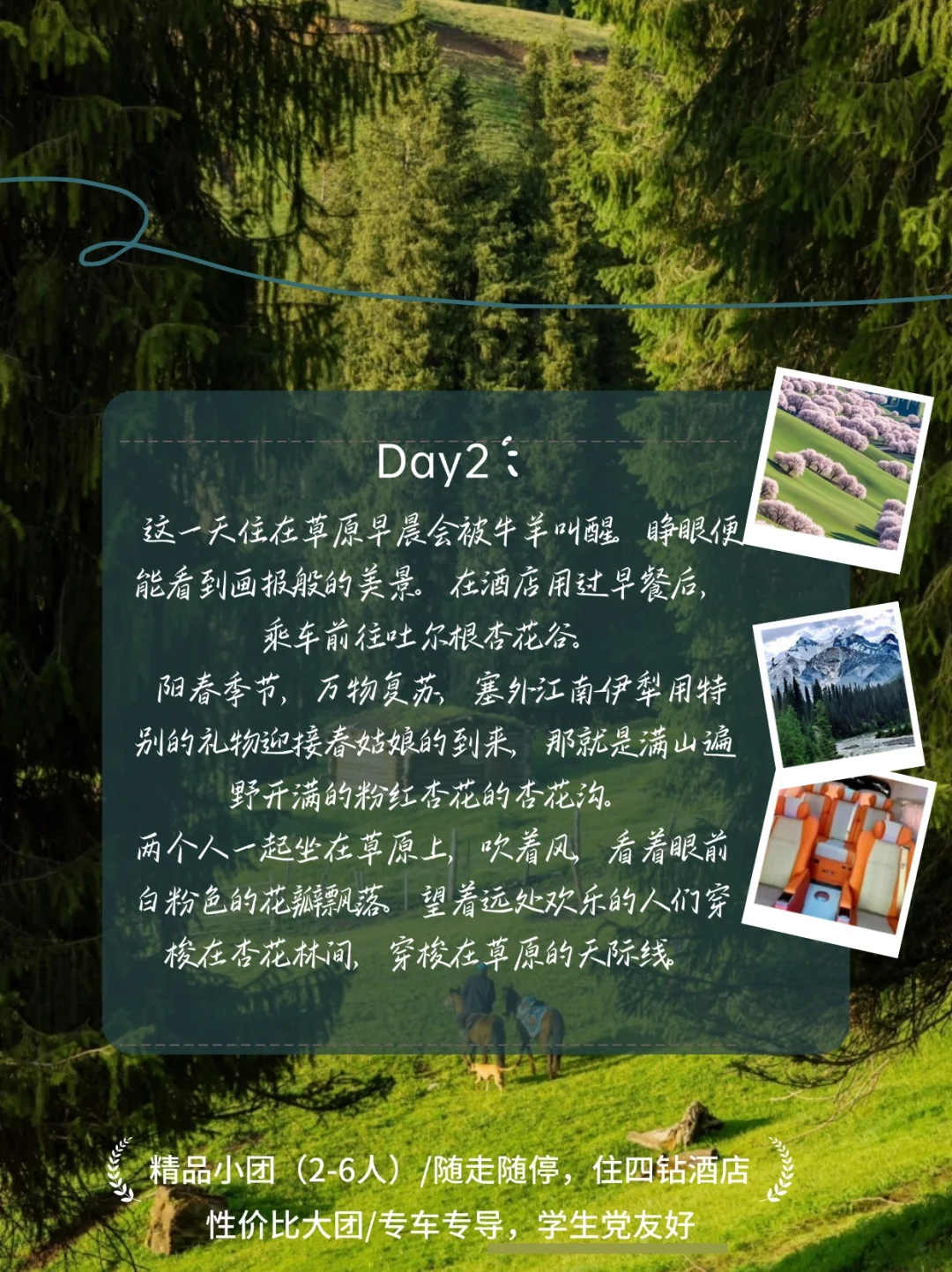 📸相机内存预警！这片草原美到犯规！