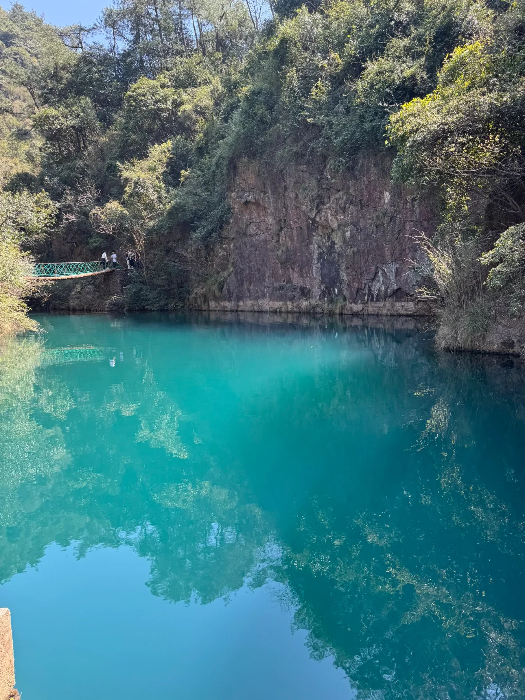 杭州🚗1h →⛰️小狗爬山初体验