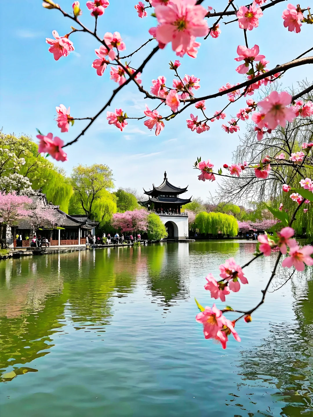 春日花约13｜江苏扬州✨如诗如画瘦西湖