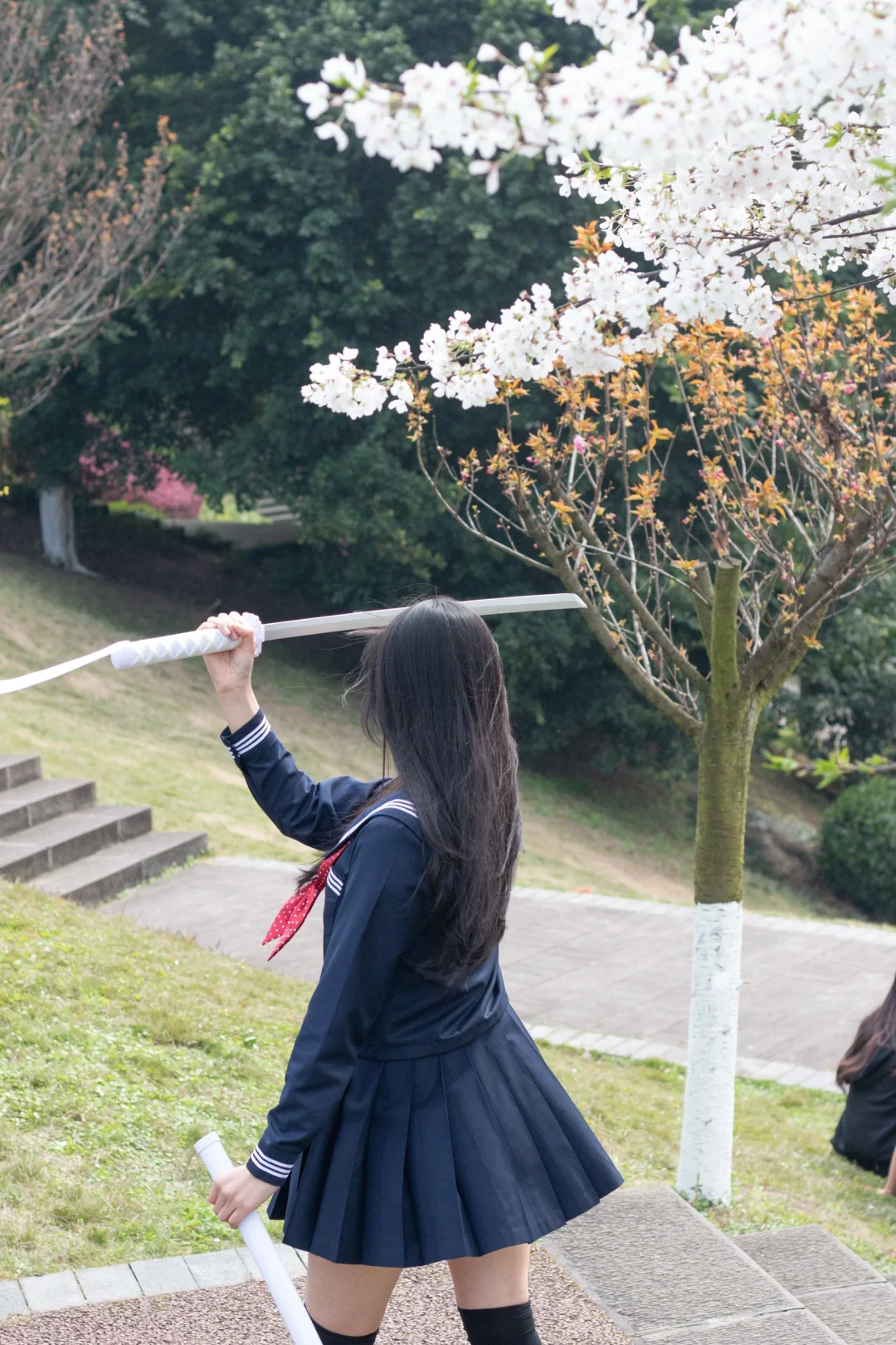 京都的樱花开到内江来了???