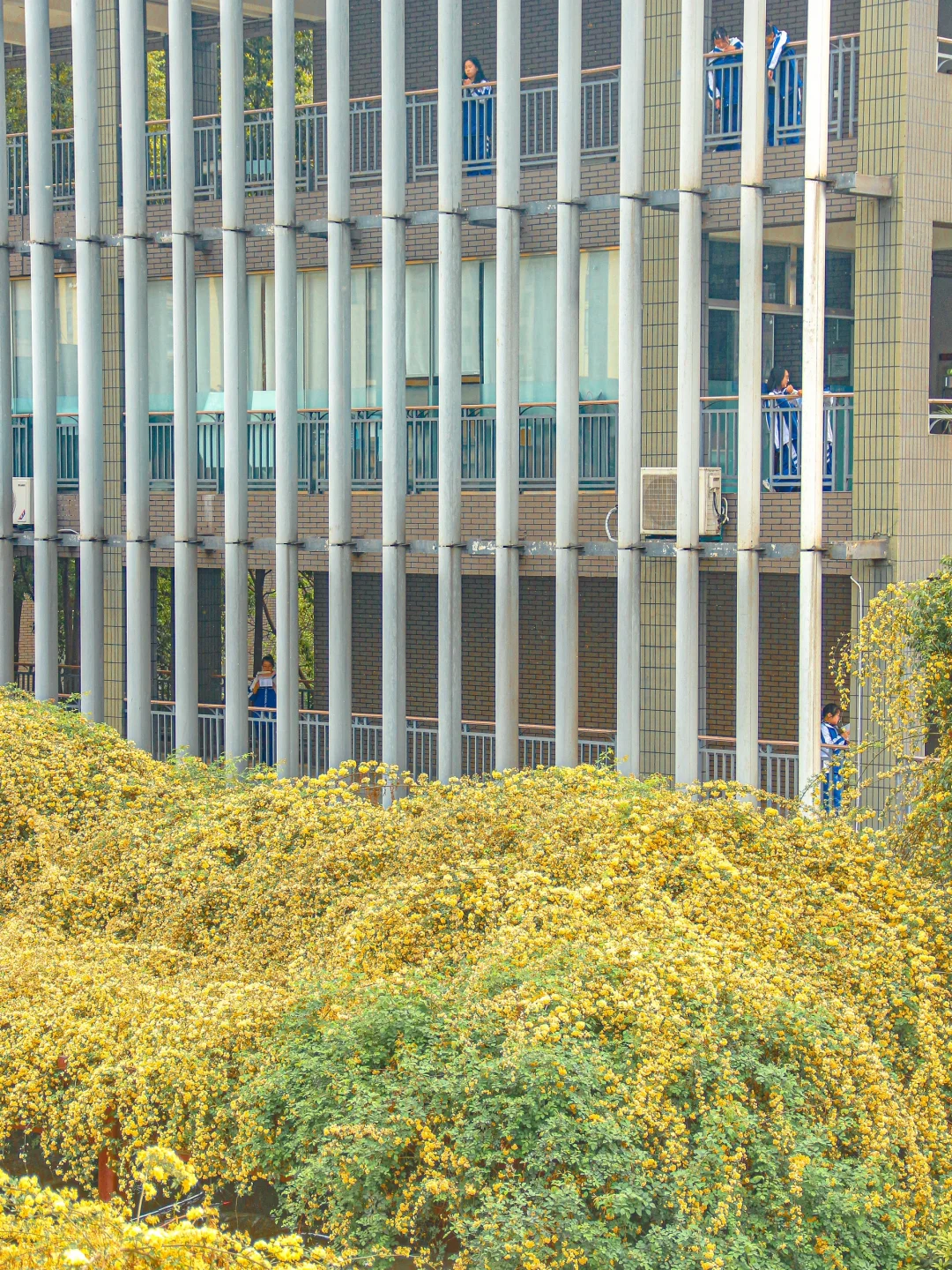 一开始觉得太古里已经很好逛了。。。。。