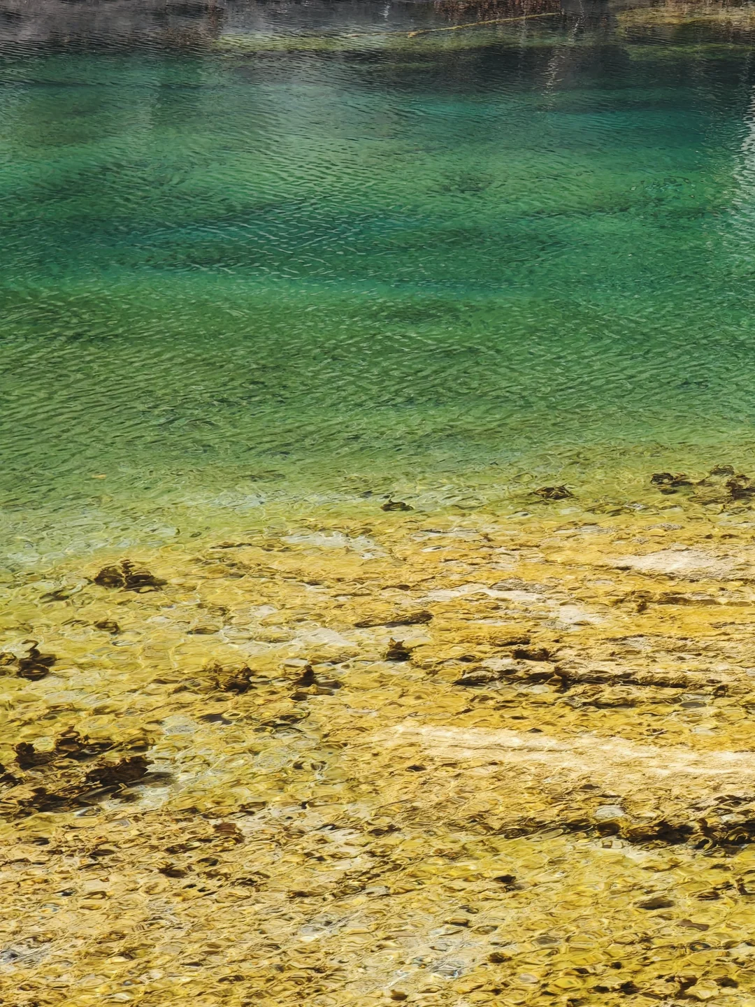 3月宝泉蹦极已回，不懂的可以随便提问！！