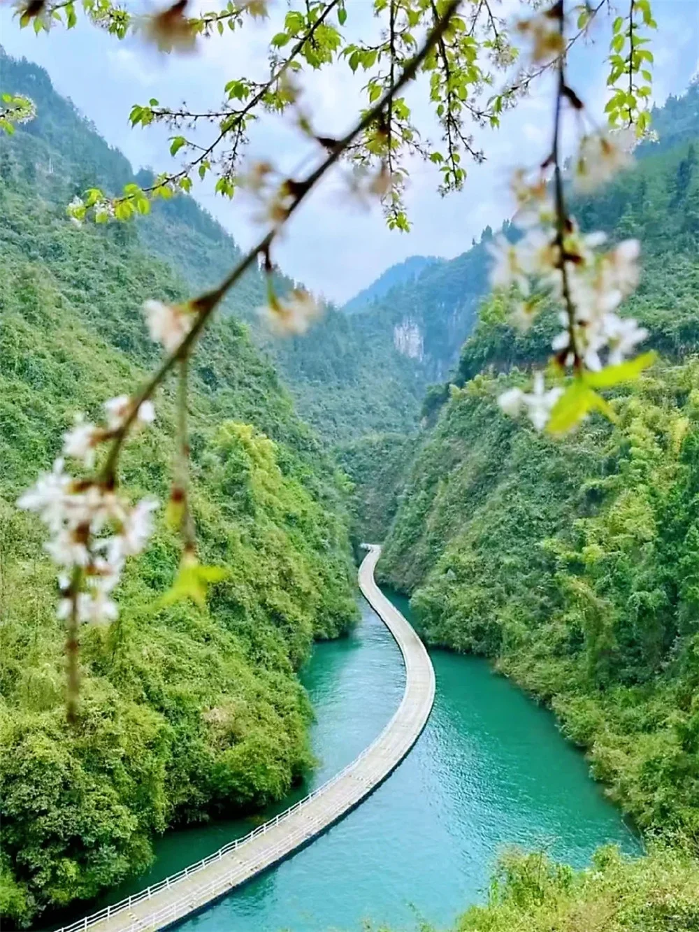 （已成行/多团期）4月4-8日：全景恩施