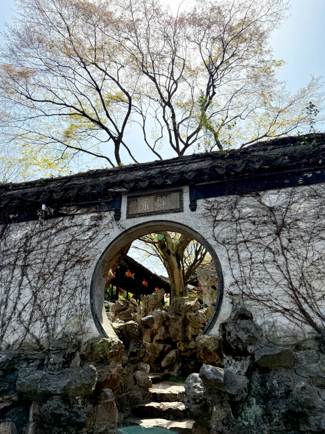 无锡亲子游｜春天的惠山古镇也太适合遛娃啦