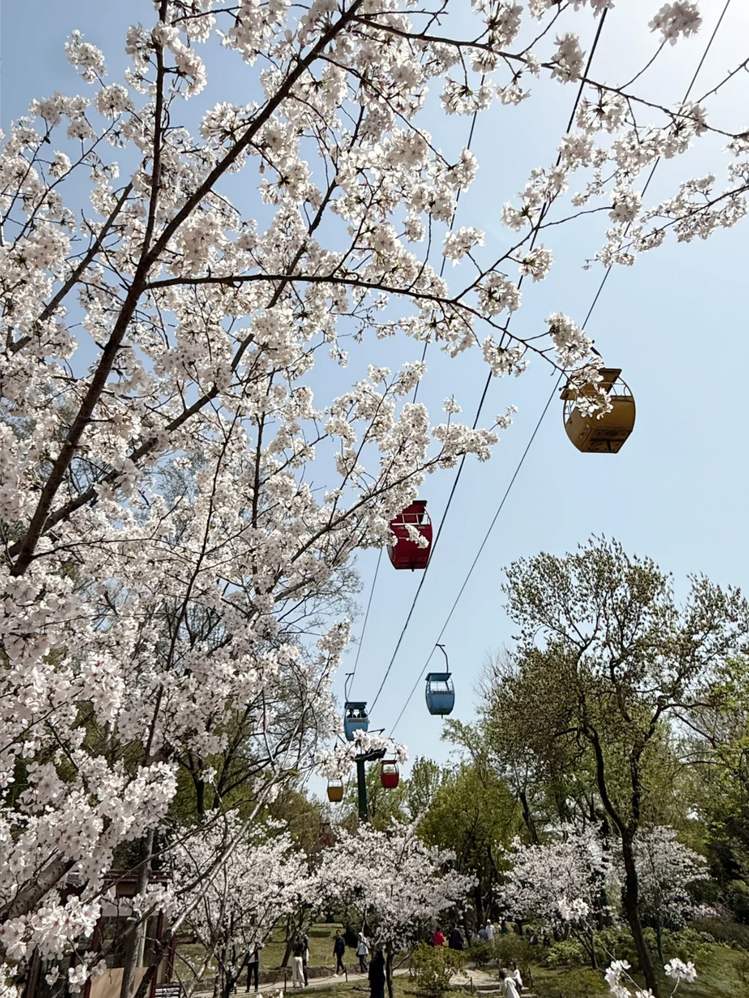 无锡亲子游｜春天的惠山古镇也太适合遛娃啦