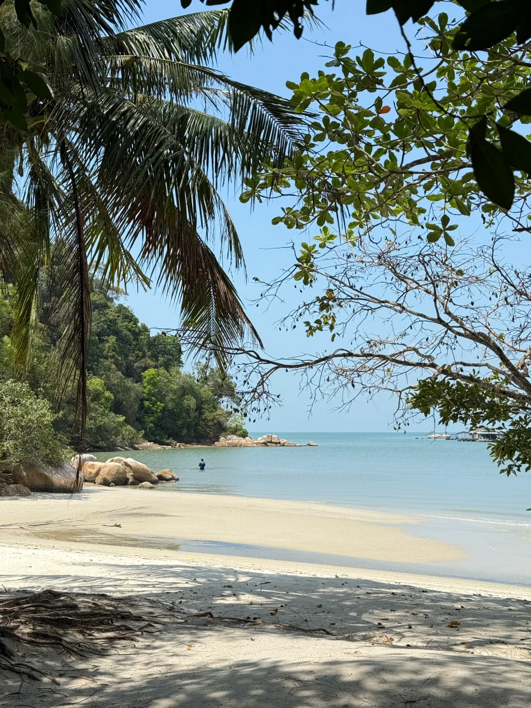 喜欢大自然氧吧必去槟城国家公园🏞️