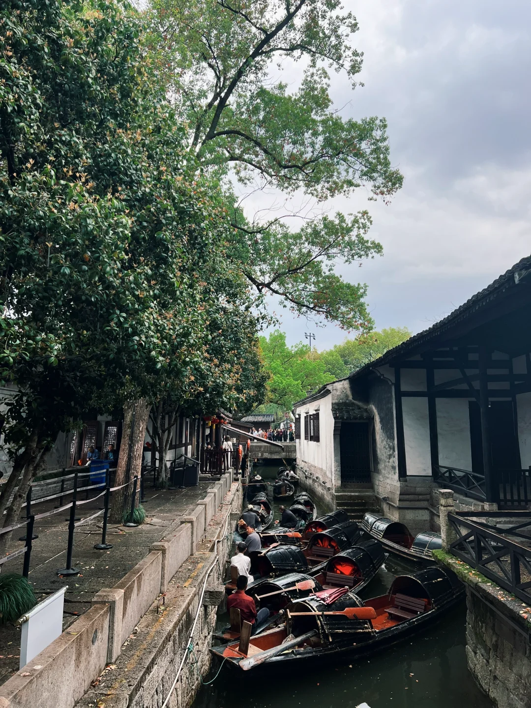 绍兴 鲁迅故里 阳明故居 徐渭艺术馆