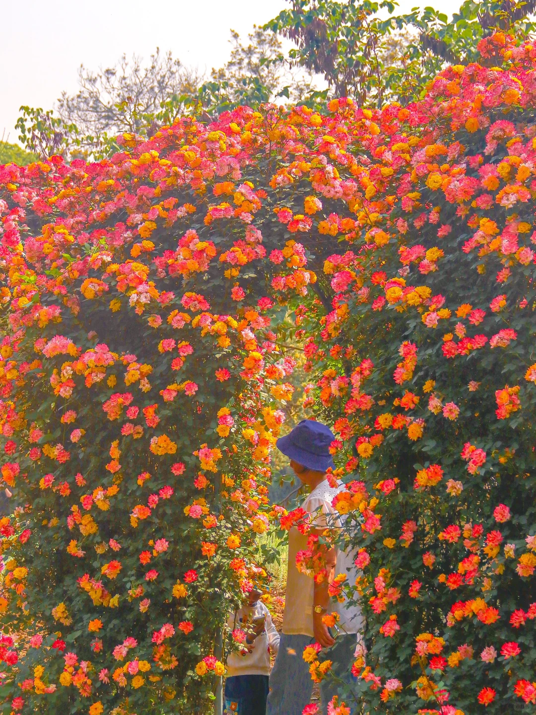 一开始觉得太古里已经很好逛了。。。。。