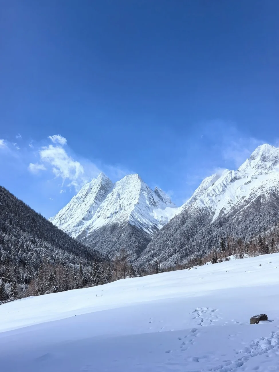 吹爆！入住了四姑娘山一家有温度的民宿！！