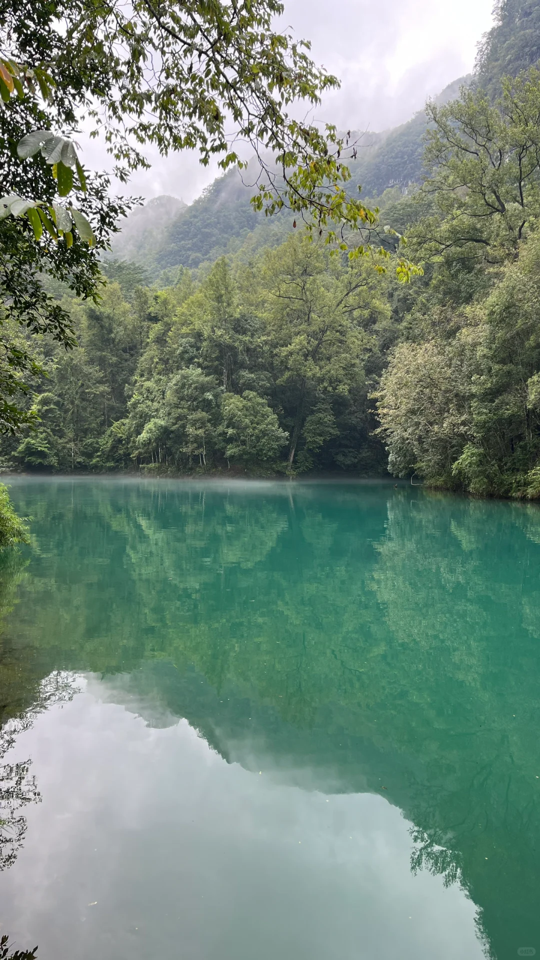 大暴雨后的小七孔 阴天实拍无滤镜 实况的美