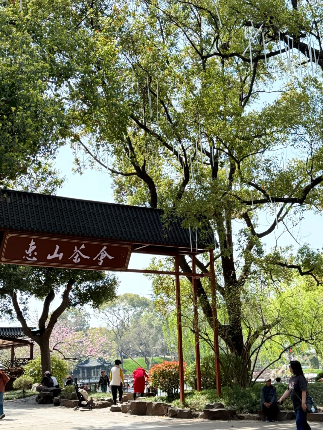 无锡亲子游｜春天的惠山古镇也太适合遛娃啦