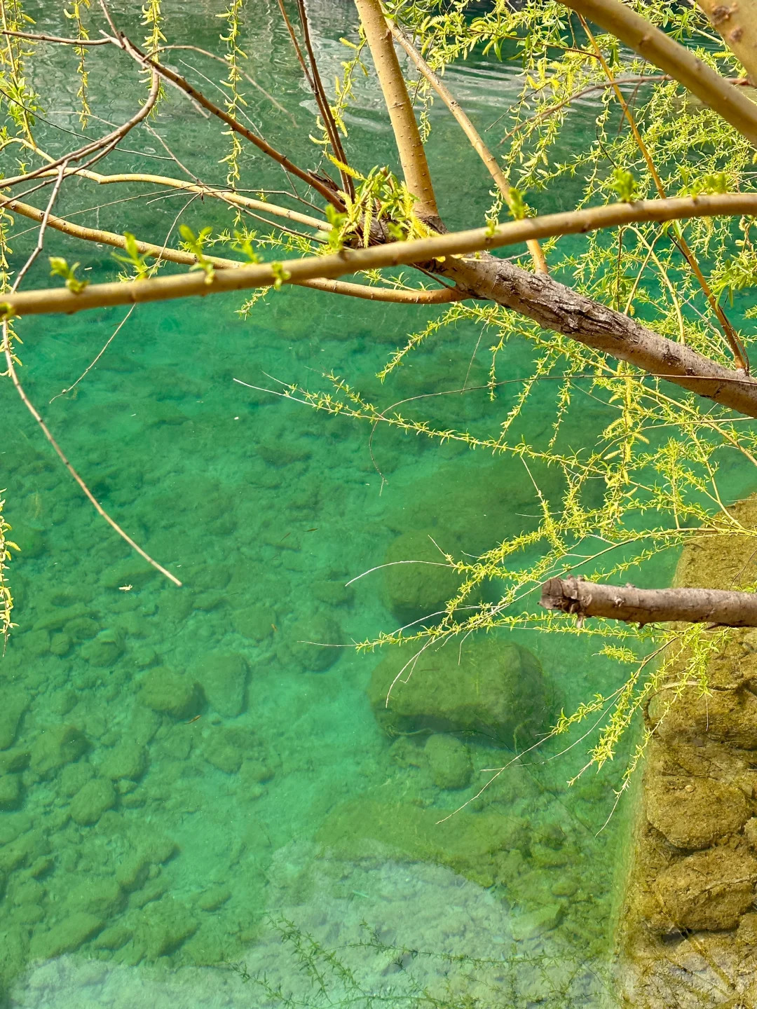 3月宝泉蹦极已回，不懂的可以随便提问！！