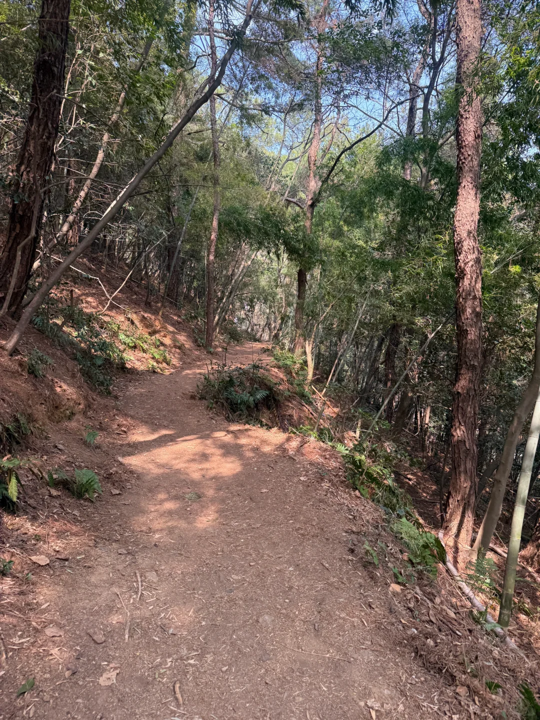 穹窿山爱心徒步｜苏州