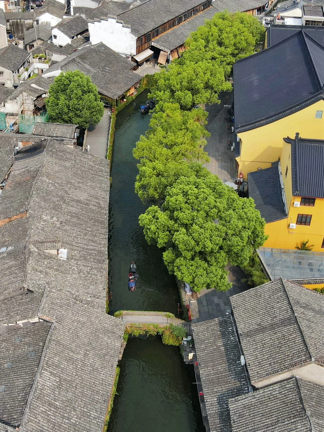 下个月的绍兴，是古人诗里的真江南～