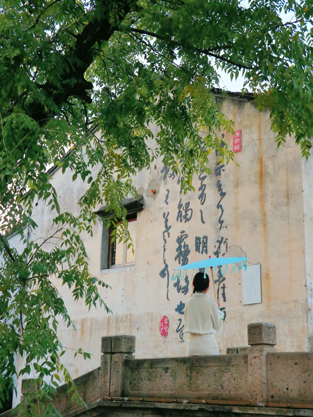 下个月的绍兴，是古人诗里的真江南～