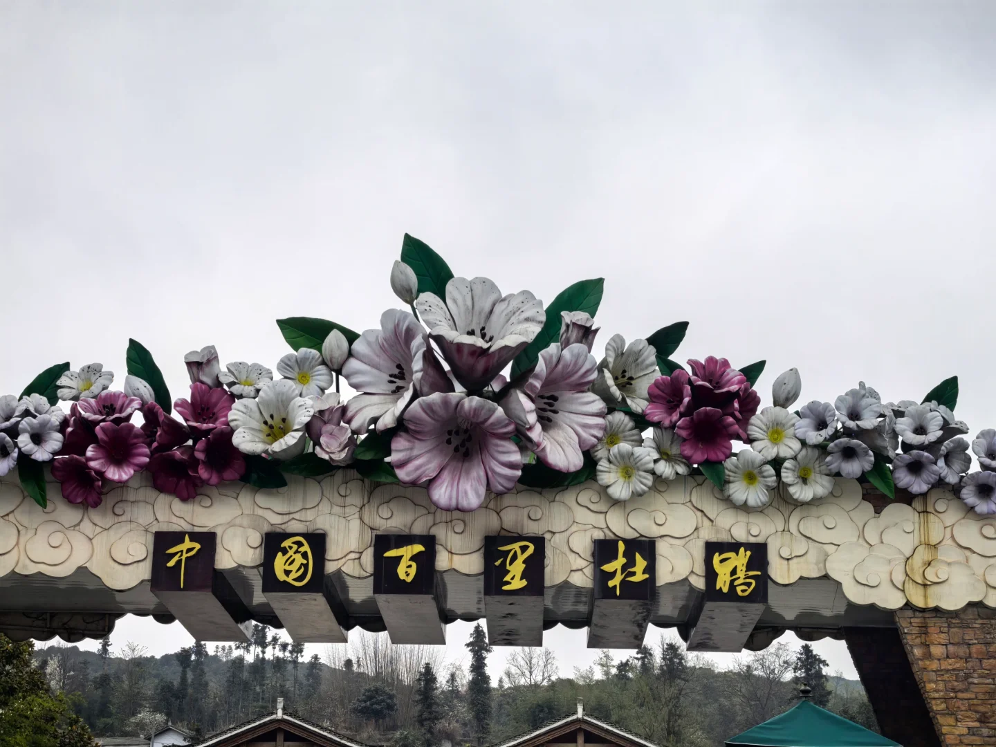 报告～百里杜鹃，我来啦～