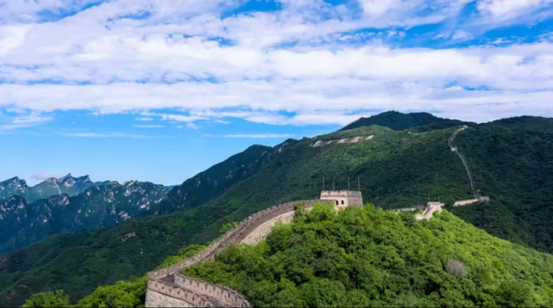 慕专线直通车保姆级攻略来啦📣