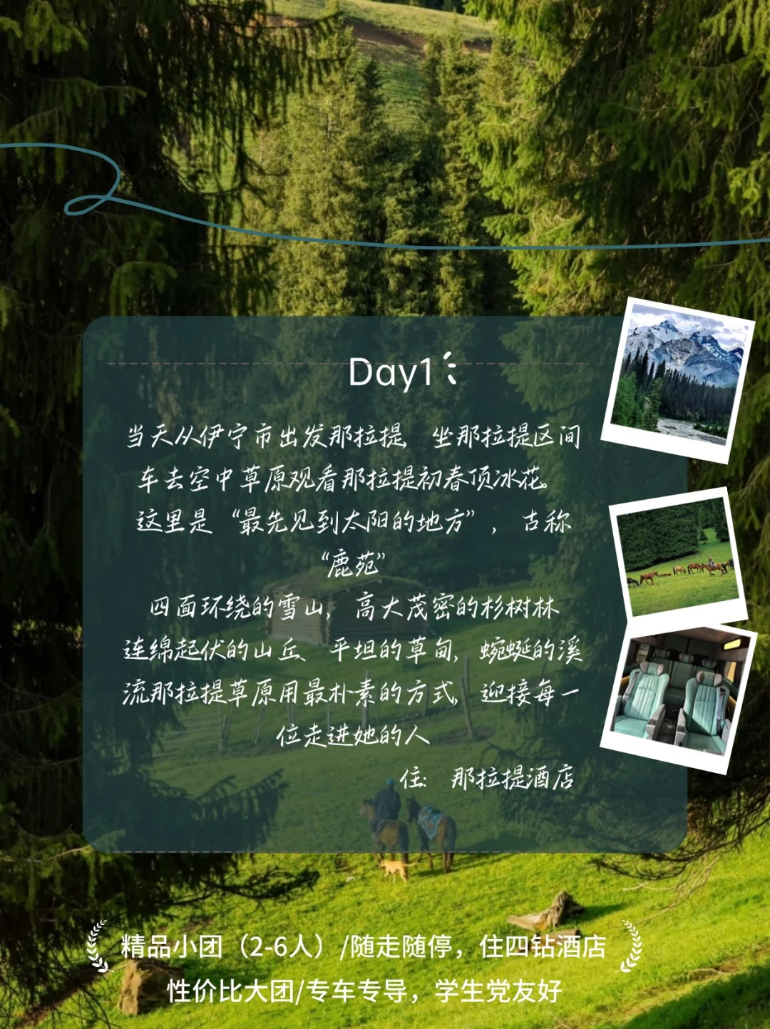 📸相机内存预警！这片草原美到犯规！