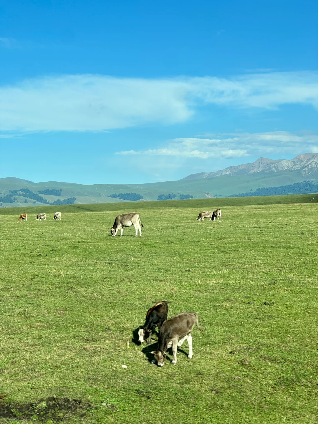 新疆已回,真的建议姐妹们一定要听劝…