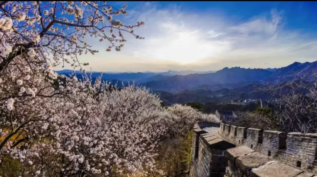 慕专线直通车保姆级攻略来啦📣