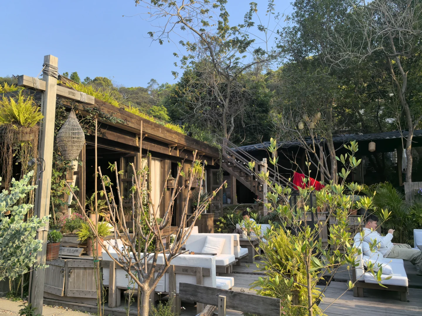 广东版的有风小院/现实中的莫奈花园