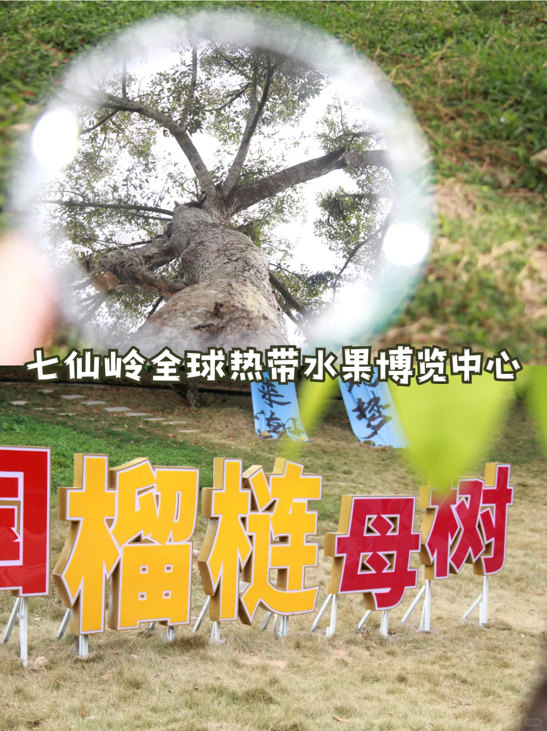 在海南当少数民族的快乐 免票玩保亭谁懂啊