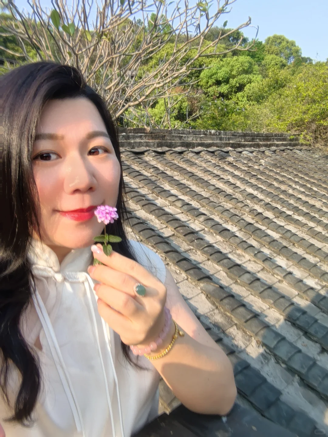 广东版的有风小院/现实中的莫奈花园