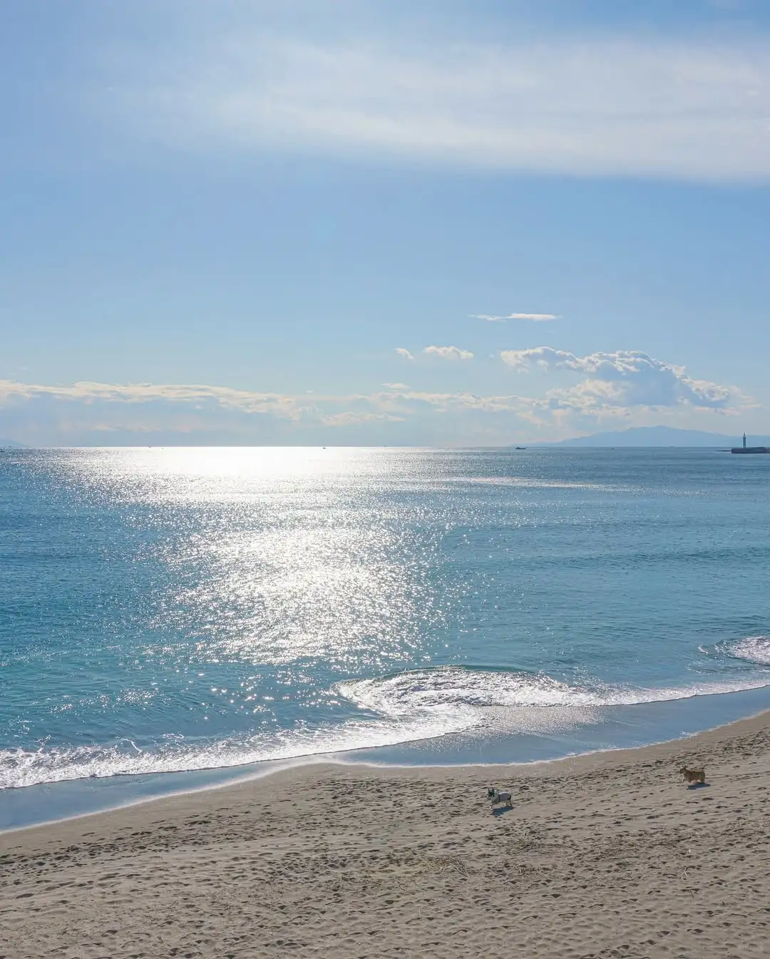 第一次来镰仓，请直接复制这条一日游路线